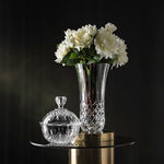 Glass Vase Gift Set Clear image number 0