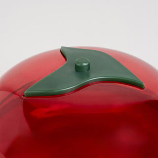 Plastic tomato saver