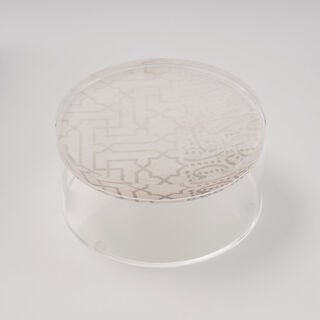 لاميسا عُلب طعام أكريليك، متوسطة، 14*11 سم