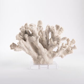 Home Accent Coral With Crystal Base