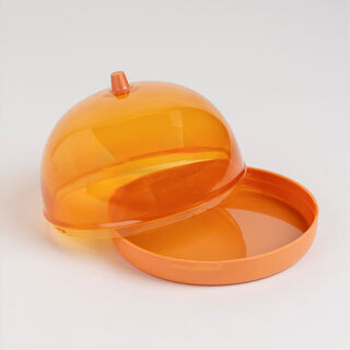 Plastic onion saver