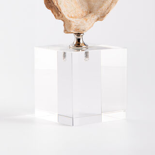Homez coral design accent with crystal base