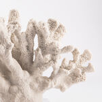 Home Accent Coral With Crystal Base image number 2