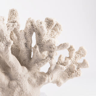 Home Accent Coral With Crystal Base