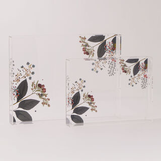 Dallaty Acrylic Serving Tray with Floral Print, Clear, 40*30*6 cm