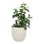 Ceramic Planter Grey image number 1