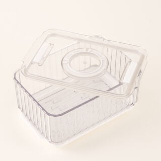 Alberto Food Storage Container 18.5*12.5*9Cm