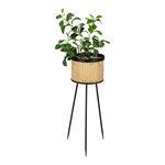 Planter With Stand White 27*27*80 Cm image number 1