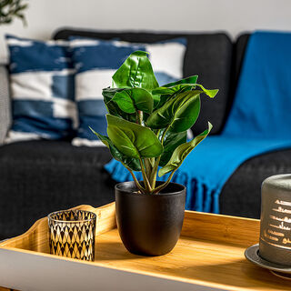ARTIFICIAL PLANT IN PLASTIC BOX