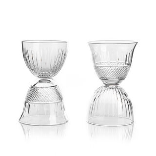 2 Pcs Trans Tumbler Dual Side Useable