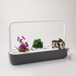 Click & grow indoor smart garden 9 Grey