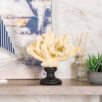 Home Accent Coral Black And Cream image number 0