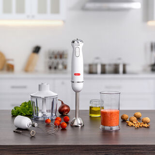 Alberto Stainless steel 1000W 4 in 1 hand blender