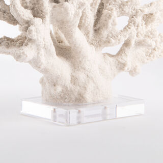 Home Accent Coral With Crystal Base