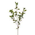 Homez single artificial flower ruscus, green 25*25*90cm image number 0