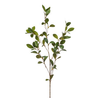 Homez single artificial flower ruscus, green 25*25*90cm