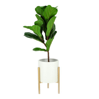 Metal Planter With Gold Legs White