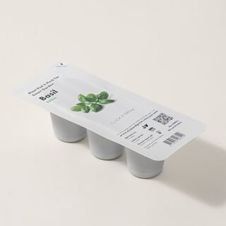 Click & grow seeds basil