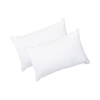 Cottage pillow 2pc