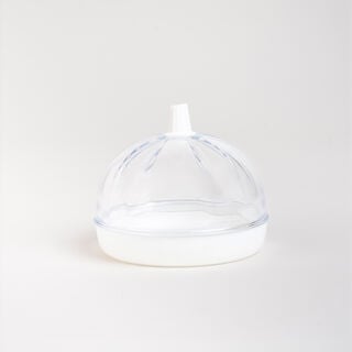 Plastic garlic saver