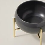 طبق سلطة بني بقاعدة ذهبية من لا ميسا image number 2