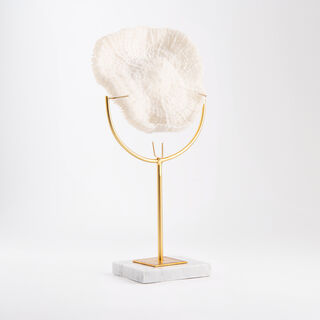 Coral with marbel base