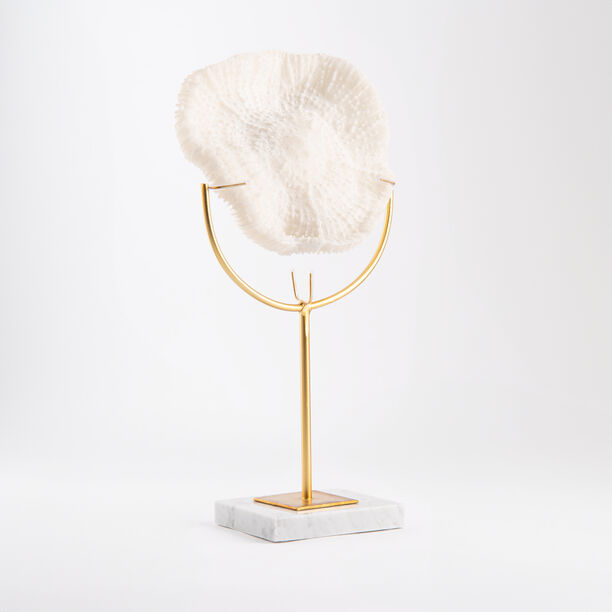 Coral with marbel base image number 1