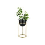 Planter Black On Gold Stand image number 1