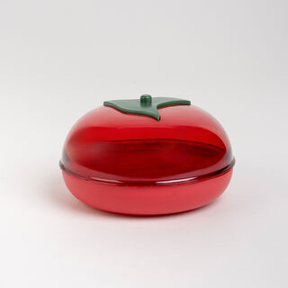 Plastic tomato saver