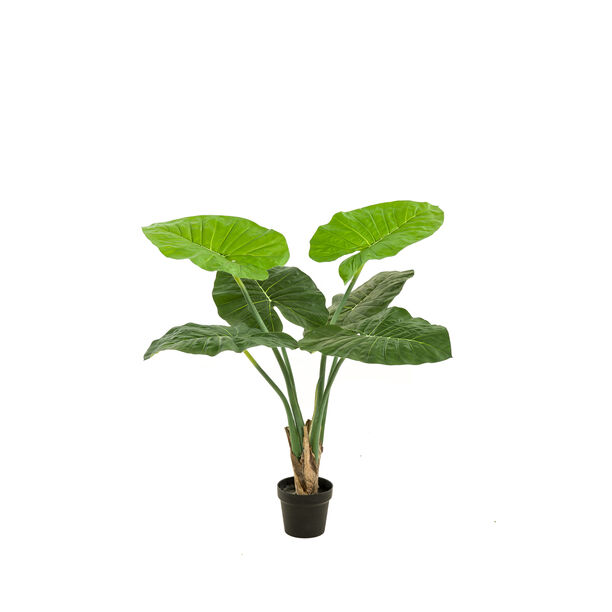 Homez indoor artificial alocasia plant in pot, 90cm image number 0