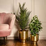 Planter image number 0
