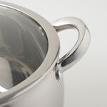 Alberto stainless steel pot with lid, silver 8.2L image number 5