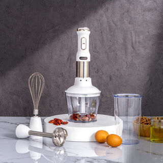 Alberto Stainless steel 850W 3 in 1 hand blender