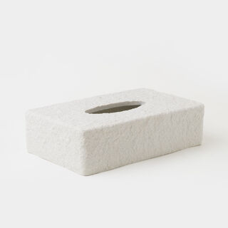 Homez polyresin tissue box, off white 22*12.2*5.2cm