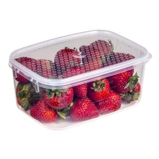 Decor Plastic Food Saver Rectangle Shape V: 1 L White Lid ( Tellfresh)