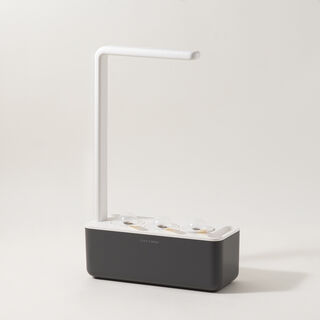Click & Grow Indoor Smart Garden 3 Grey