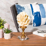 Home Accent Coral Cream And Gold image number 0