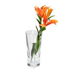 Glass Vase Fusion image number 2