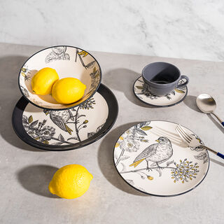 Rio Sabia Cinza 20 Pcs Dinner Set