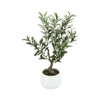 Aritificial olive plant in a Ceramic pot 35.56*35.56*58.42 cm