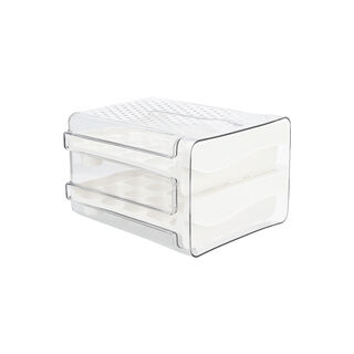 Double Layer 40 Egg Storage Drawer