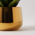 هومز نبات صبار صناعي في وعاء ذهبي 25*32سم image number 3