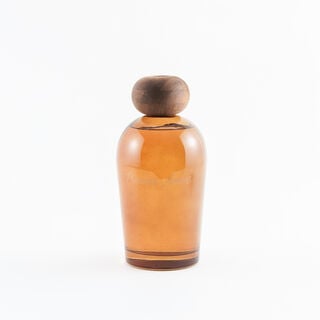 Homez reed diffuser precious amber 500 ml