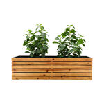 وعاء نباتات image number 2