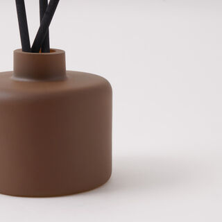 Homez 100 ml glass diffuser with reeds and amber scent oil