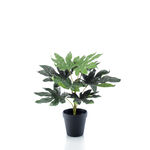 Homez indoor artificial fatsia plant in black pot, 30cm, image number 0