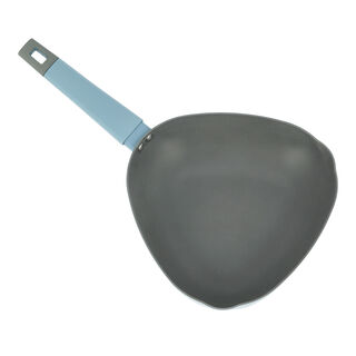 Alberto Non Stick Fry Pan Blue Color