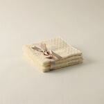 Boutique Blanche Cotton 2Pcs Face Towel 30*30Cm 500Gsm, White image number 0