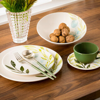 Rio Galhos Coloridos 20 Pcs Dinner Set