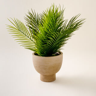 Homez Artificial Plant In Wood Pot 61*61*48Cm